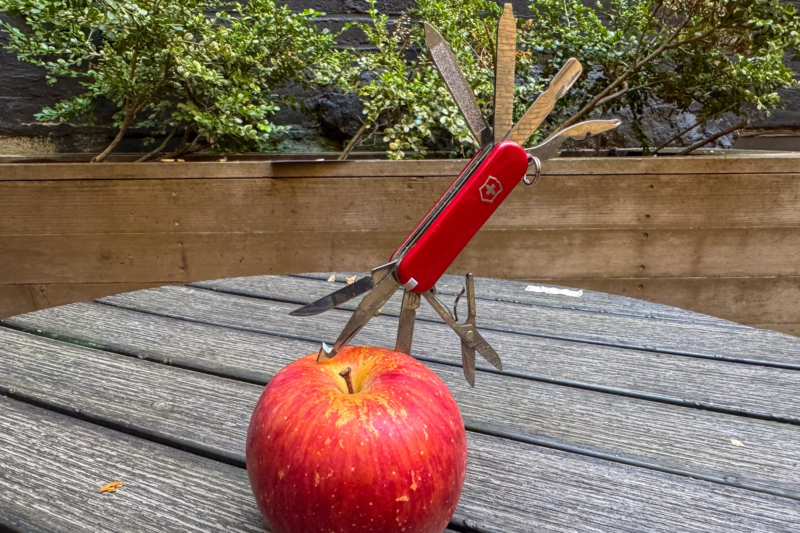 Small Enough for Your Keys, Tough Enough for Your Day: Victorinox Mini Champ Review