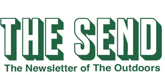 The Send Newsletter Logo